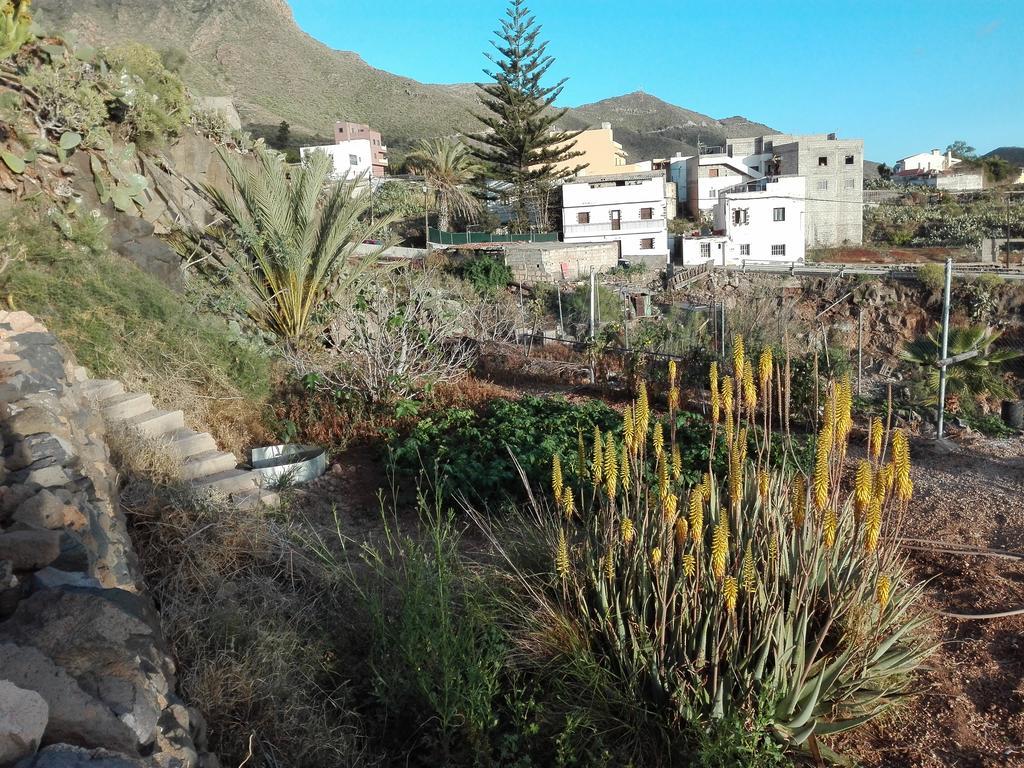 Finca Patio Canario Arona  Eksteriør billede